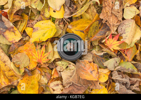 Un objectif de caméra sur un contexte à l'automne les feuilles colorées Banque D'Images