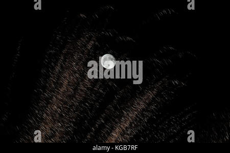 Une lune de 99 % avec feux d'artifice en premier plan au-dessus de Whitley Bay, Tyne et Wear. Banque D'Images