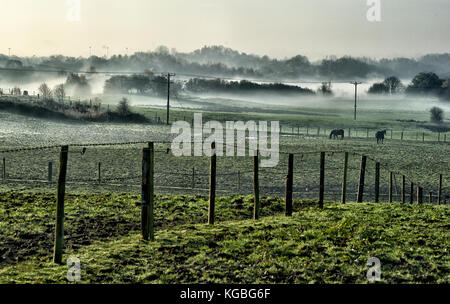 Bolton, Lancashire, UK. 6 novembre, 2017 Matin brumeux. début de la semaine pour ces chevaux dans les champs autour de levier de Darcy, Bolton, Lancashire. photo par Paul heyes, lundi 06 novembre, 2017. crédit : Paul heyes/Alamy live news Banque D'Images