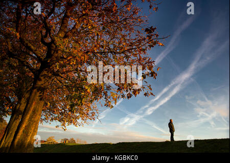 Bolton, Lancashire, UK. 6 novembre, 2017 Coucher de soleil glorieux. pour finir une belle journée au parc leverhulme à Bolton, Lancashire. photo par Paul heyes, lundi 06 novembre, 2017. crédit : Paul heyes/Alamy live news Banque D'Images