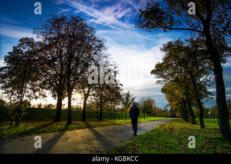 Bolton, Lancashire, UK. 6 novembre, 2017 Coucher de soleil glorieux. pour finir une belle journée au parc leverhulme à Bolton, Lancashire. walker passe par une avenue d'arbres que la journée se termine. photo par Paul heyes, lundi 06 novembre, 2017. crédit : Paul heyes/Alamy live news Banque D'Images