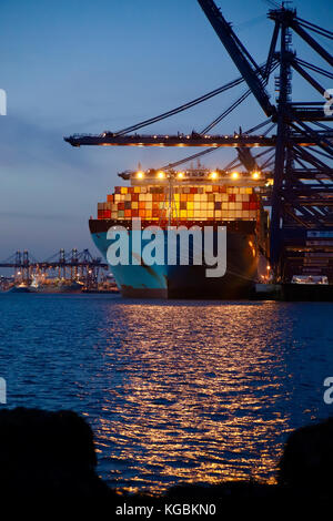 Port de Felixstowe, Suffolk, UK. 6 novembre, 2017. Météo France : Le Maersk Magleby est à quai comme le soleil se couche sur un soir de novembre, dans le port de Felixstowe, Suffolk. Credit : Angela Chalmers/Alamy Live News Banque D'Images