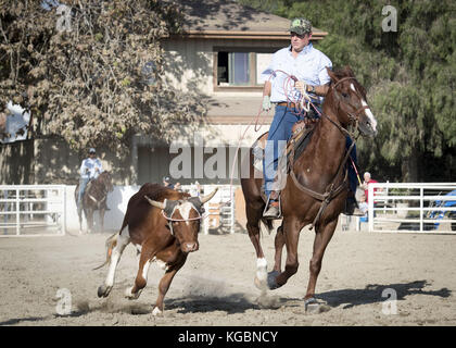 San Juan Capistrano, California, USA. 20 Sep, 2017. Vache moderne de jour au lasso, pratiqué pour le plaisir ou la compétition, c'est la pratique de séparer les vaches pour marquage basé sur des méthodes développées au cours de l'expansion de l'ancien ouest et commencent au début des années 1800. Ligotage de vache peut être une poursuite individuelle ou fait en équipe et est à la base de jour moderne des rodéos avec Bull et bronco équitation. Dans l'ancien ouest, les vaches et les veaux ont été séparés, un par un afin d'être marqués et prouver la propriété au cours des rondes ups chaque année avant de prendre les animaux au marché. Cow roping est pratiqué dans l'ensemble des S Banque D'Images