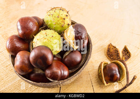 Châtaignes sauvages avec des coquilles de noix de coco dans la cuvette naturelle Banque D'Images