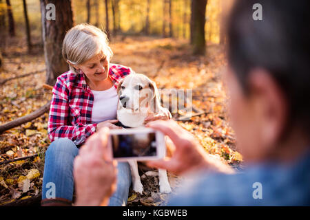 Couple avec chien en promenade dans une forêt d'automne. Banque D'Images