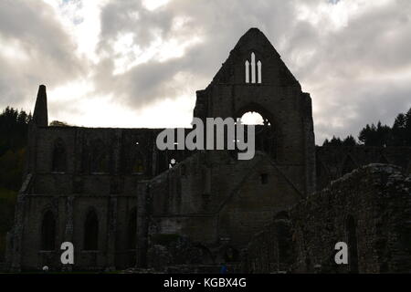 Abbaye de tintern monmouthshire uk Wales re monastères dissolution détail architectural de ruines antiques Banque D'Images