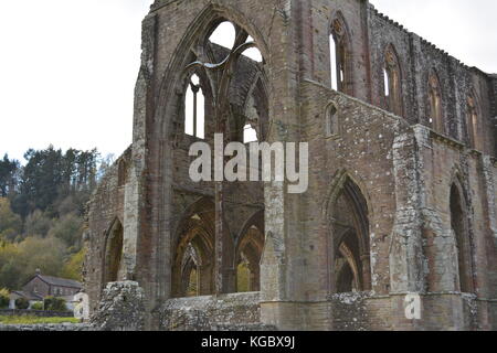 Abbaye de tintern monmouthshire uk Wales re monastères dissolution détail architectural de ruines antiques Banque D'Images