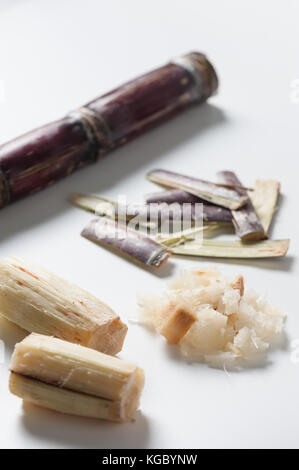 La canne à sucre (Saccharum officinarum) composants y compris la bagasse, tronc, sur tableau blanc. L'agriculture biologique et des produits concept cuisine zéro déchet. Banque D'Images