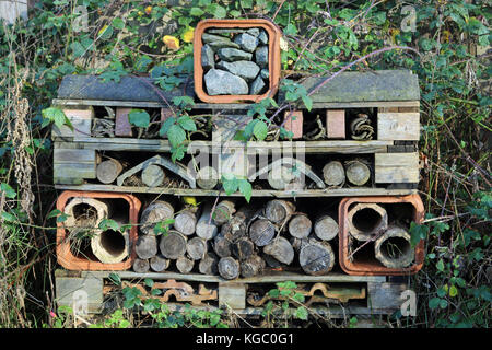 Hôtel de insectes pour insectes et autres invertébrés fabriqués à partir de palettes en bois avec tuyaux, tuiles de toiture, grumes, pierres et morceaux de bois entourés de brambles. Banque D'Images