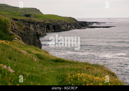 Les falaises le long de la falaise de Doolin à pied séance d'essai ci-dessous, le château de doonagore doonnagore, doolin, comté de Clare Banque D'Images