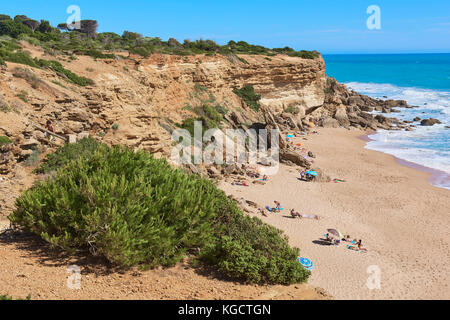 Conil de la frontera. Calas de roche, roche, costa de la luz. ville blanche, cadiz province. L'andalousie. L'Espagne. Banque D'Images