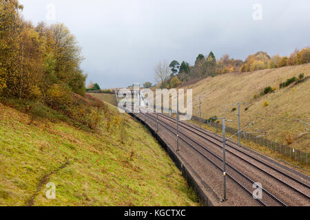 Coupe de fer sur un jour d'automne terne Banque D'Images