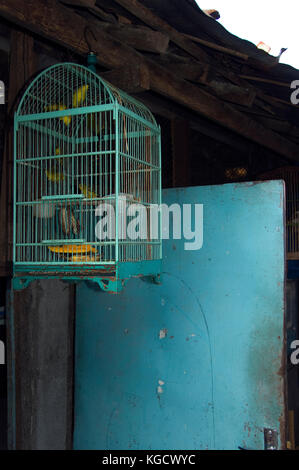 Marché aux oiseaux et les cages à oiseaux en bois à Yogyakarta, marché aux oiseaux ngasem pasar, Indonésie Banque D'Images