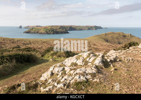 Skomer Island, prise de Wooltack point, Pembrokeshire, Pays de Galles, Royaume-Uni Banque D'Images