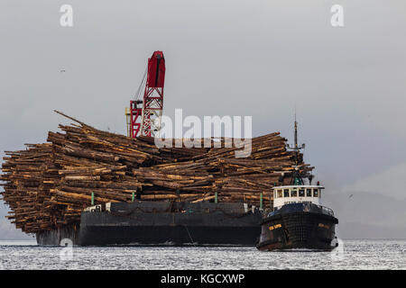 Remorqueur ocean clipper avec une barge de journal dans le remorquage en passant par weynton passage au large du nord de l'île de Vancouver, Colombie-Britannique, Canada. Banque D'Images