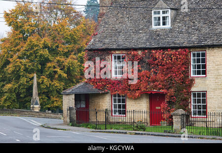 Du Parthenocissus tricuspidata. Boston ivy / réducteur japonais couvrant un chalet à Shipton Under Wychwood, Cotswolds, Oxfordshire, Angleterre Banque D'Images