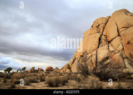 Formation rocheuse unique indiqué à Joshua Tree National Park Banque D'Images