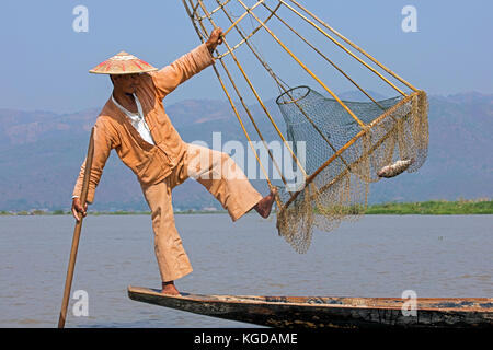 Tout en maintenant l'équilibre entre pêcheur ethnie Intha armature en bambou coniques avec filet de pêche, au lac Inle, nyaungshwe, shan state, myanmar / Birmanie Banque D'Images