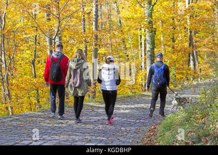 Deux jeunes couples avec un chien, marchant dans un parc en forêt d'automne Banque D'Images