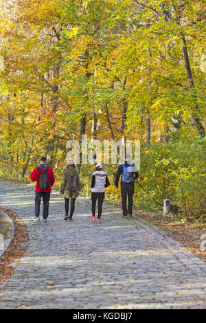 Deux jeunes couples avec un chien, marchant dans un parc en forêt d'automne Banque D'Images