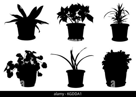 Ensemble de différentes fleurs en pots isolated on white Banque D'Images