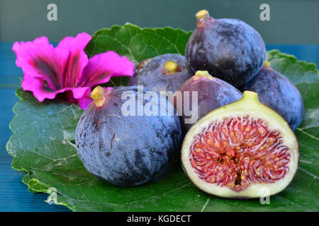 Figues bleu sur une feuille et fleur rose, fig section transversale, Close up, side view Banque D'Images