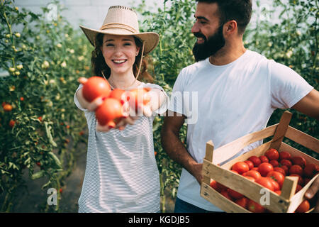 Jeune couple d'agriculteurs travaillant dans les émissions de Banque D'Images