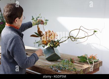 Une femme de la création d'un arrangement floral ikebana au Conservatoire de Côme à St Paul, Minnesota, USA. Banque D'Images