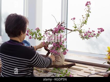 Une femme de la création d'un arrangement floral ikebana au Conservatoire de Côme à St Paul, Minnesota, USA. Banque D'Images