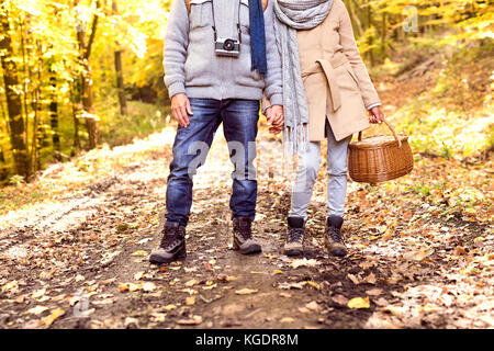 Senior couple lors d'une promenade en forêt d'automne. Banque D'Images