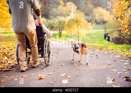 Homme Femme en fauteuil roulant et le chien à l'automne la nature. Banque D'Images