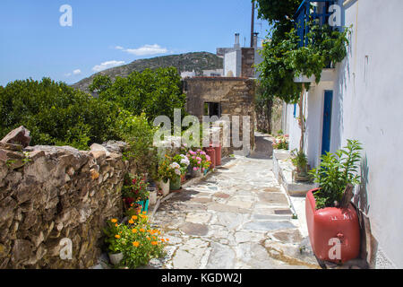Chemin du Village avec mur de pierres naturelles et de fleurs au village Filoti, Naxos, l'île de Naxos, Cyclades, Grèce, Mer Méditerranée, Europe Banque D'Images