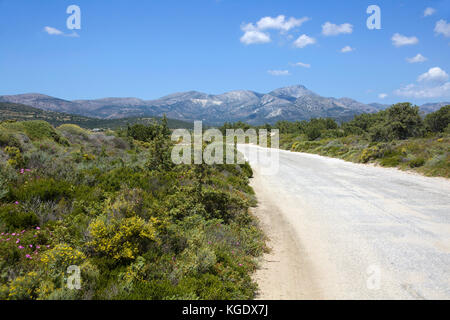 Route à l'Alyko, ouest de l'île de Naxos, Cyclades, Mer Égée, Grèce Banque D'Images
