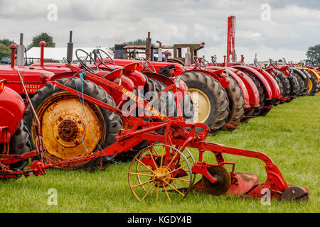 Une rangée de tracteurs Massey-Harris rouges des années 1950 et 60 au Norfolk Starting Handle Club Show 2017, Royaume-Uni. Banque D'Images