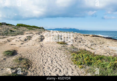 Wild mallorca, randonnées à Son serra de Marina, Majorque, Espagne Banque D'Images