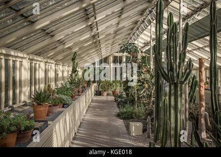 Une serre dans les jardins botaniques nationaux, Dublin, Irlande. Banque D'Images