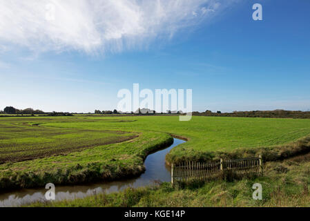 Pagham Harbour, une réserve naturelle RSPB, West Sussex, Angleterre, Royaume-Uni Banque D'Images