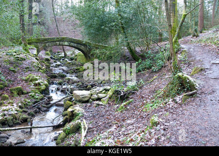 Sheffield, UK - Jan 2015 : Voie à côté de Tinker Brook à cheval sur le pont 18 Mar 2015 à Glen Howe Park, près de Wharncliffe Side Banque D'Images