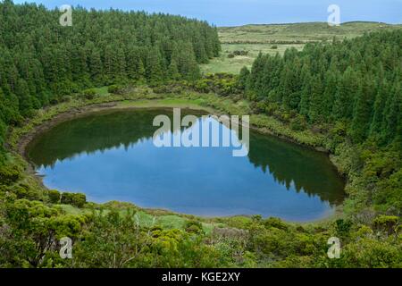 Le lac de cratère de Lagoa Seca sur l'île de Pico Açores Banque D'Images