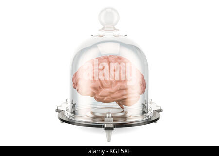 Cerveau humain recouvert d'une cloche de verre, rendu 3D Banque D'Images