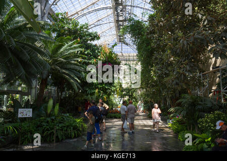 À l'intérieur de l'United States Botanic Garden à Washington DC, United States. Banque D'Images