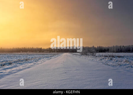 Une route solitaire mène à travers les champs dans le nord de la Finlande. Le soleil se lève sur le paysage enneigé sur un matin froid. Banque D'Images