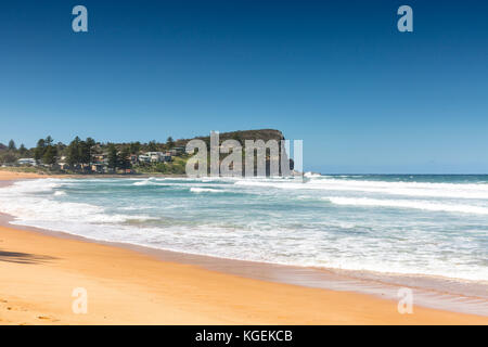 Voir d'Avalon Beach sur les plages du nord de Sydney et Avalon pointe, Sydney, New South Wales, Australie Banque D'Images