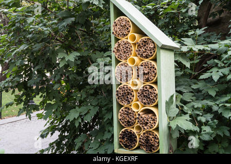 Bee Houses à Madison Square Park, New York, États-Unis Banque D'Images