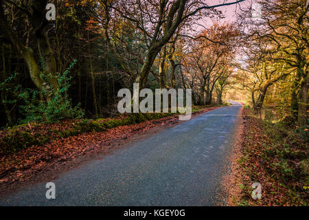 L'automne dans The Plough, Lancashire, UK Banque D'Images