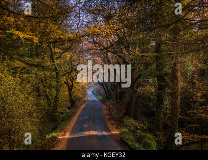 L'automne dans The Plough, Lancashire, UK Banque D'Images