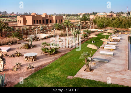 Oasis du désert avec palmier au Maroc Banque D'Images