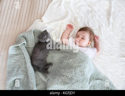 Portrait d'un beau bébé endormi et chaton Banque D'Images