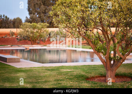 Belle piscine de l'oasis avec des arbres dans le désert au Maroc Banque D'Images