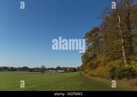 Lloyd Park à Croydon le matin de l'automne Banque D'Images